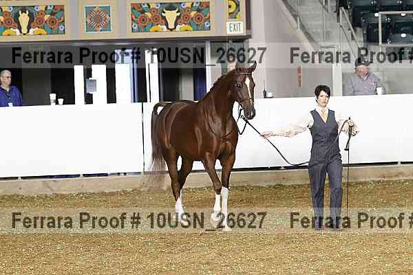 Proof 10usn_26627