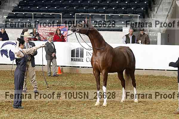 Proof 10usn_26628