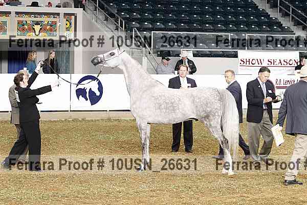 Proof 10usn_26631