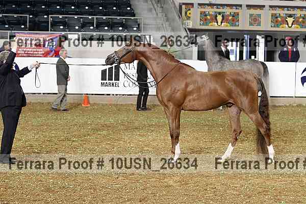 Proof 10usn_26634