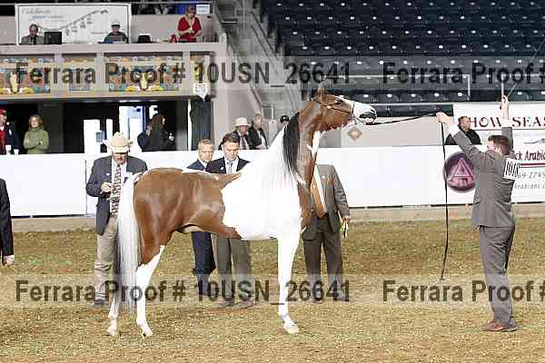 Proof 10usn_26641