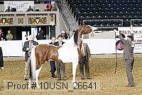 10usn_26641 proof