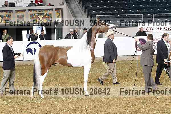 Proof 10usn_26642