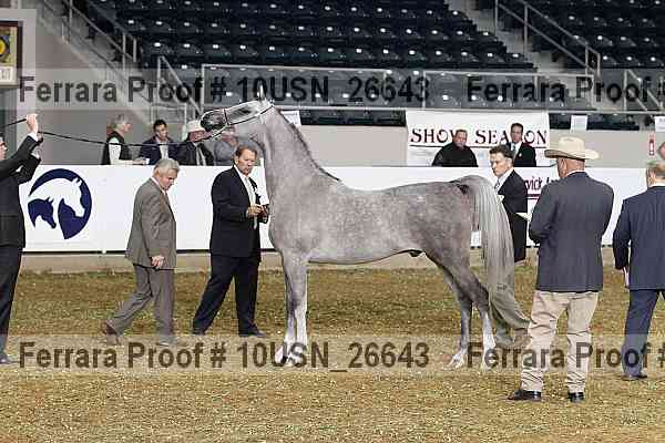 Proof 10usn_26643