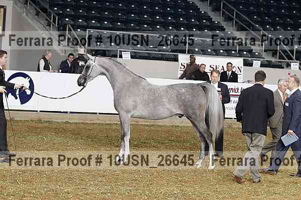 Proof 10usn_26645