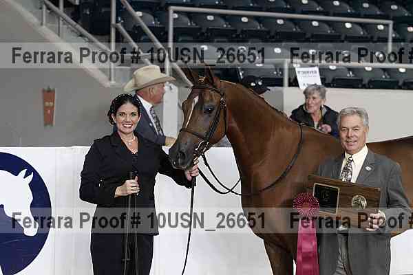 Proof 10usn_26651