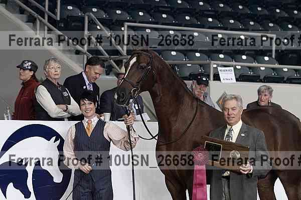 Proof 10usn_26658