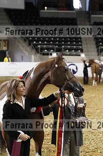 Proof 10usn_26672