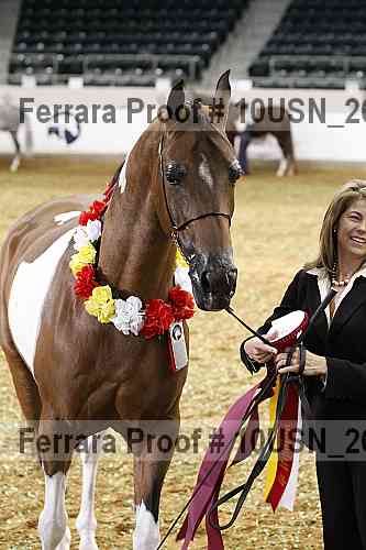 Proof 10usn_26681