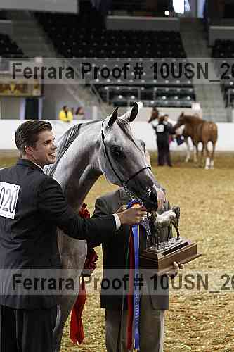 Proof 10usn_26691