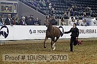 10usn_26700 proof