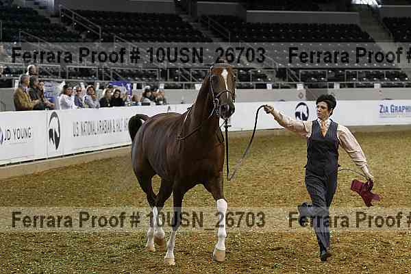 Proof 10usn_26703
