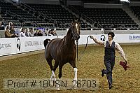 10usn_26703 proof