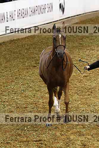 Proof 10usn_26709