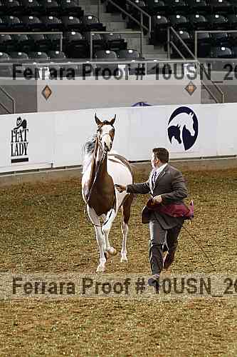 Proof 10usn_26710