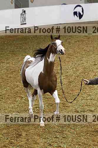 Proof 10usn_26713