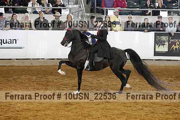 Proof 10usn_22536