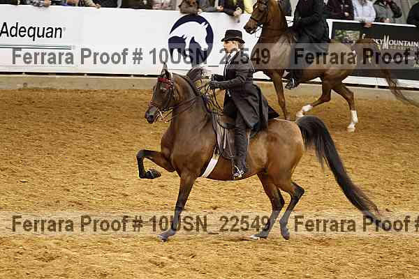 Proof 10usn_22549