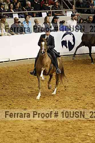 Proof 10usn_22552