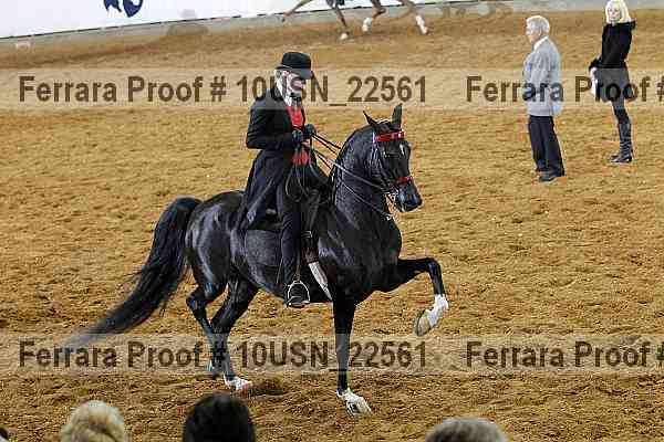 Proof 10usn_22561