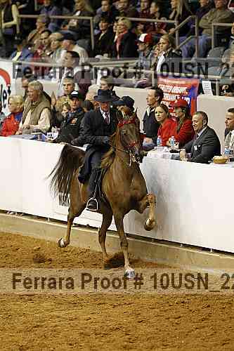 Proof 10usn_22575