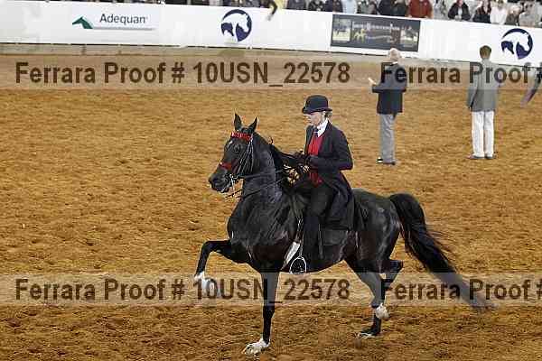 Proof 10usn_22578
