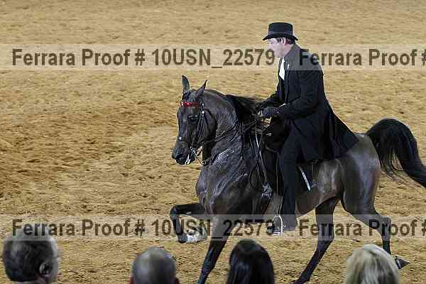 Proof 10usn_22579