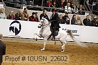 10usn_22602 proof