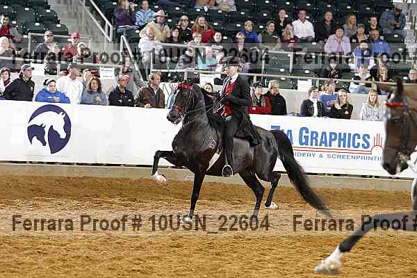Proof 10usn_22604