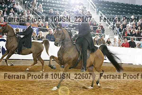 Proof 10usn_22607