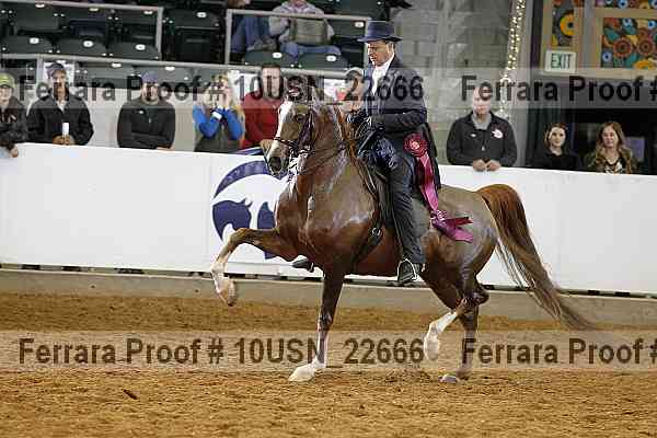 Proof 10usn_22666