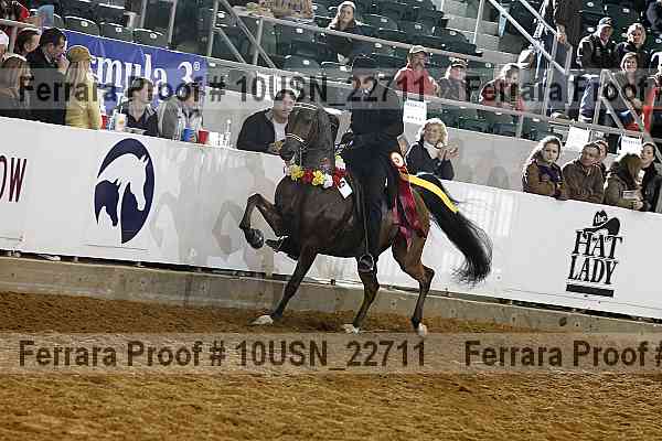 Proof 10usn_22711