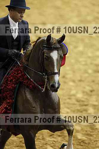 Proof 10usn_22727