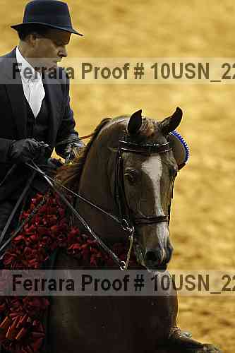 Proof 10usn_22730
