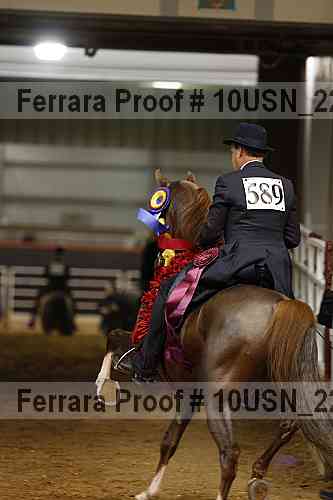 Proof 10usn_22734