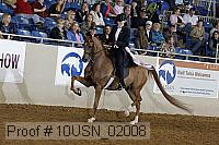 10usn_02008 proof