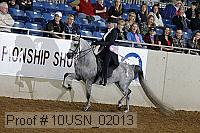 10usn_02013 proof