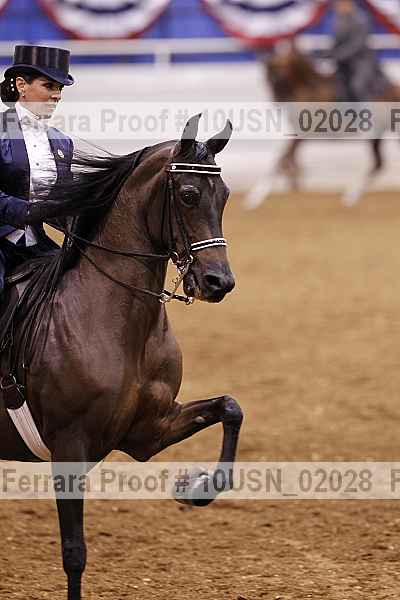 Proof 10usn_02028