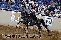 10usn_02073 proof