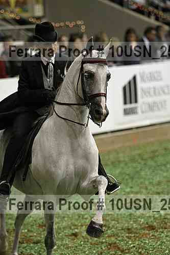 Proof 10usn_25308