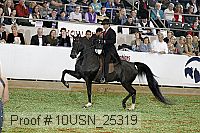 10usn_25319 proof
