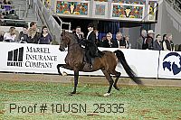 10usn_25335 proof
