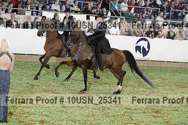 Proof 10usn_25341