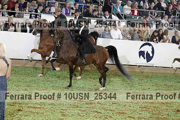 Proof 10usn_25344