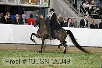10usn_25349 proof