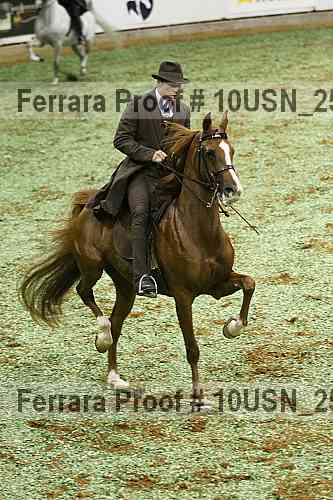 Proof 10usn_25360