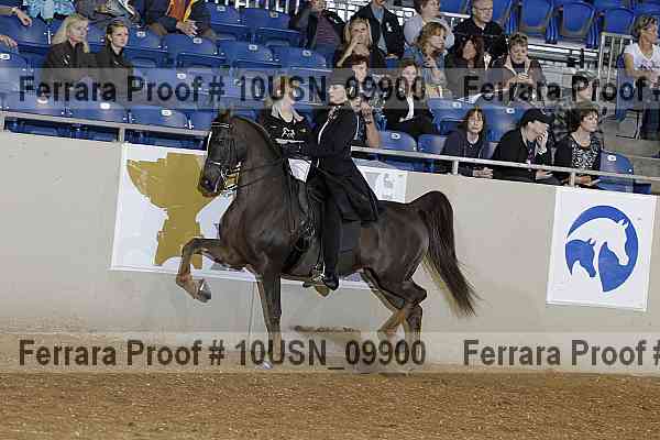 Proof 10usn_09900