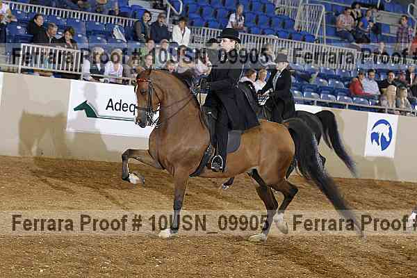 Proof 10usn_09905