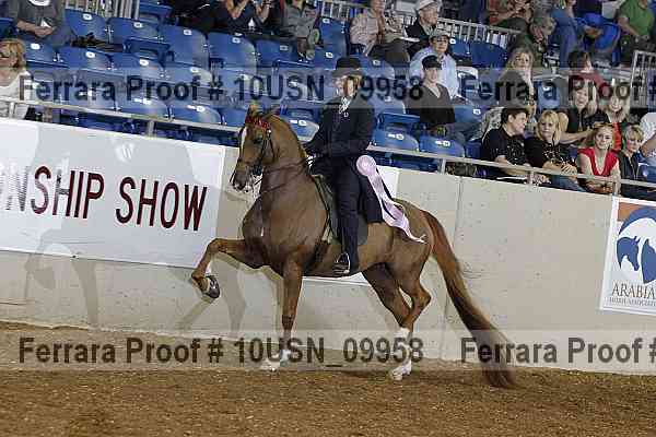 Proof 10usn_09958