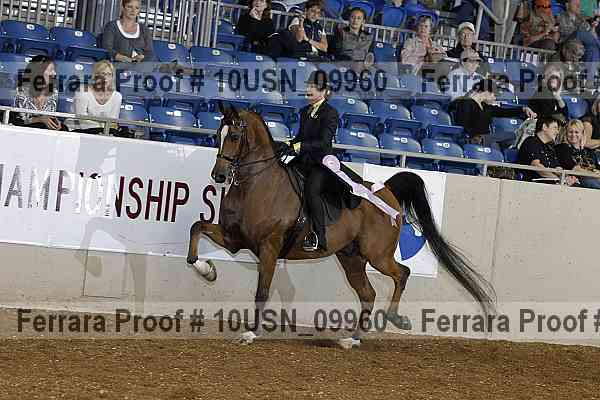 Proof 10usn_09960